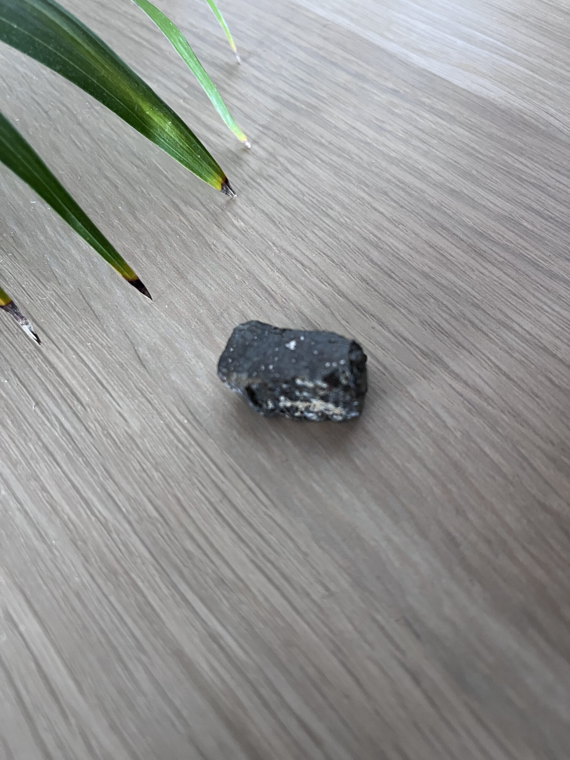 Morceau de Météorite