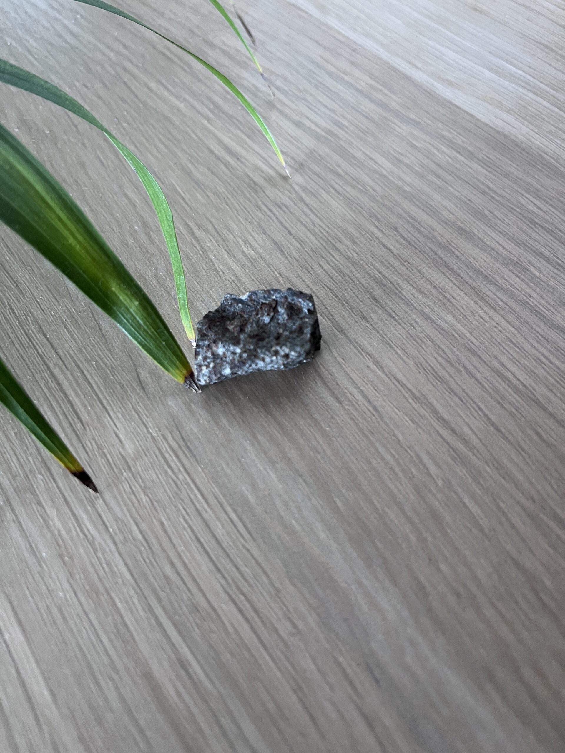 Morceau de Météorite