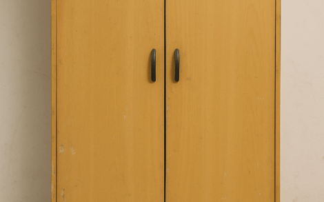 Je donne : Armoire bibliothèque en bois massif à démonter sur place